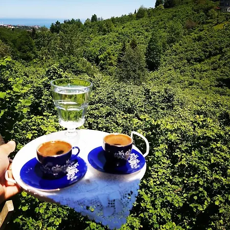 Cennet Bahcesi Trabzon
